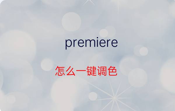 premiere 怎么一键调色 PR如何添加各种效果？